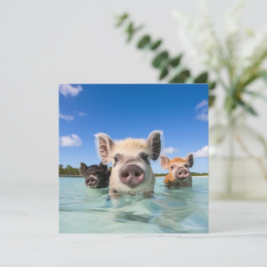 Bahamas Zwemvarken 2024 Feestdagenkaart (Staand voorkant)