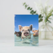 Bahamas Zwemvarken 2024 Feestdagenkaart (Staand voorkant)