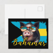 Bahamas Zwemvarkens - Exuma Pig Beach Adventure Briefkaart (Voorkant / Achterkant)