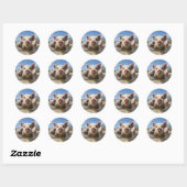 Bahamas Zwemvarkens - Exuma Pig Beach Adventure Ronde Sticker (Vel)