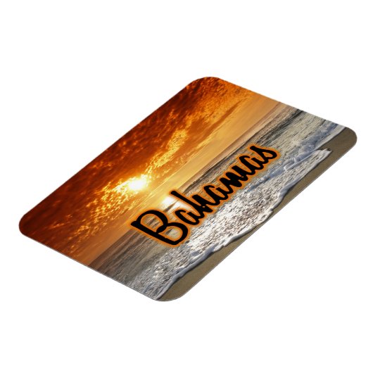 Bahamasschildpad Magneet (Linkerzijde)