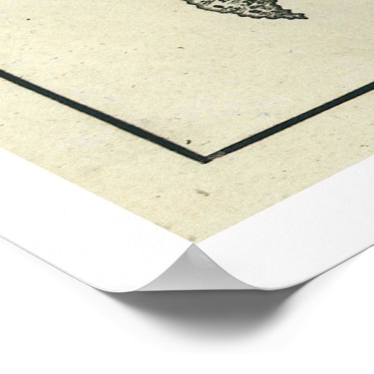 Bahia De Tampa Florida Map 1809 Poster (Hoek)