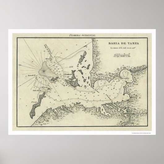 Bahia De Tampa Florida Map 1809 Poster (Voorkant)
