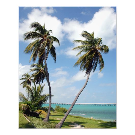 Bahia Honda State Park Florida Keys Fotoprint Foto Afdruk (Voorkant)