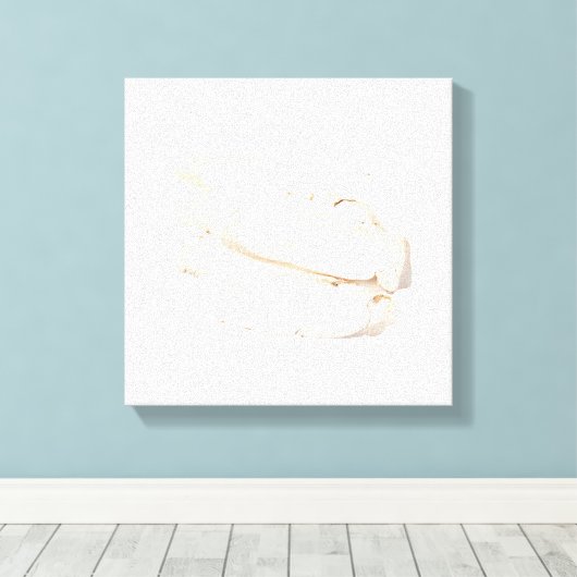 Bai Shao Canvas Print (Insitu (Houten vloer))