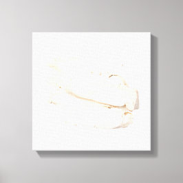 Bai Shao Canvas Print