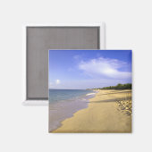 Baie Longue Long Bay strand, St. Martin, Magneet (Voorkant / Achterkant)