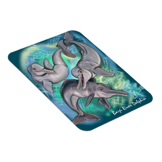 Baiji Dolphin verloor echo's Magneet (Rechterzijde)