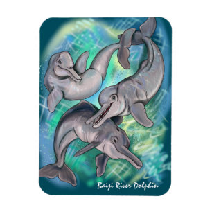Baiji Dolphin verloor echo's Magneet