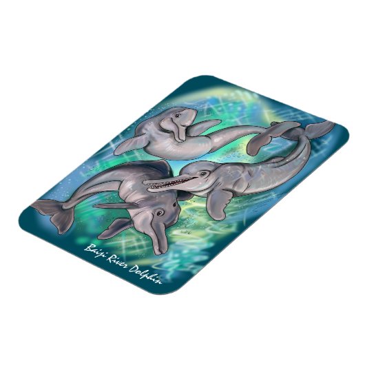 Baiji Dolphin verloor echo's Magneet (Linkerzijde)