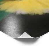 Bailarinas con preciosos colores vivos foto afdruk (Hoek)