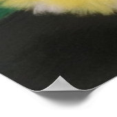 Bailarinas con preciosos colores vivos poster (Hoek)