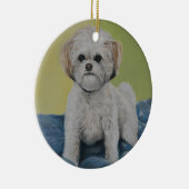 Bailey Bichon/shihtzu Art Ornament (Rechts)