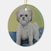 Bailey Bichon/shihtzu Art Ornament (Links)