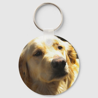 Bailey de Golden Retriever Sleutelhanger