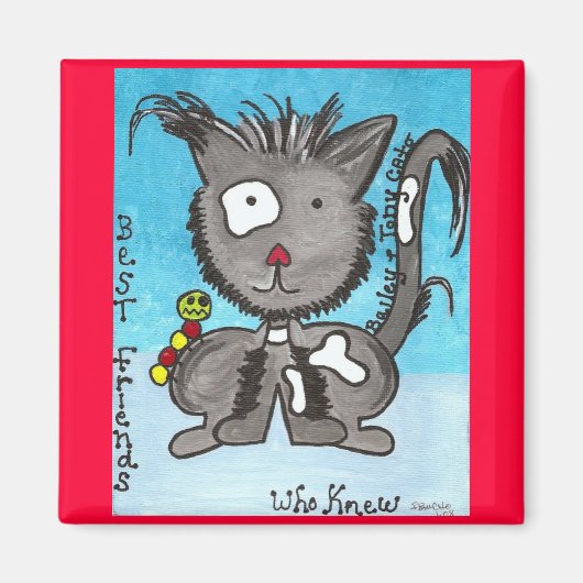 BaiLeY Magneet (Voorkant)