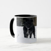 Bailey The Patterdale Terrier Mok (Voorkant links)