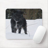 Bailey The Patterdale Terrier Muismat (Met muis)