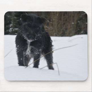 Bailey The Patterdale Terrier Muismat