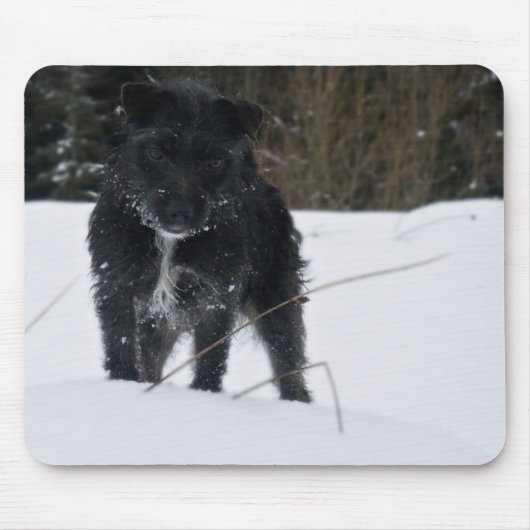 Bailey The Patterdale Terrier Muismat (Voorkant)