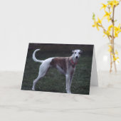 "Bailey" Whippet Foto Wenskaart Kaart (Gele Bloem)