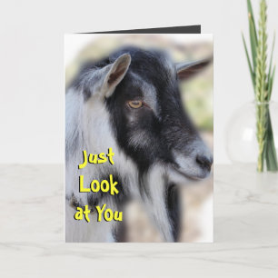 BaileyLookatYou-Pas elke keer aan Kaart