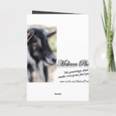 BaileyLookYou-aanpassen elke gelegenheid Kaart (Achterkant)