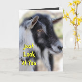 BaileyLookYou-aanpassen elke gelegenheid Kaart (Gele Bloem)