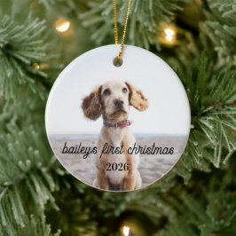Bailey's Eerste Kerstmis Hond Ornament 2026