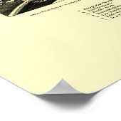 Bainbridge, NY Panoramic Map - 1889 Poster (Hoek)