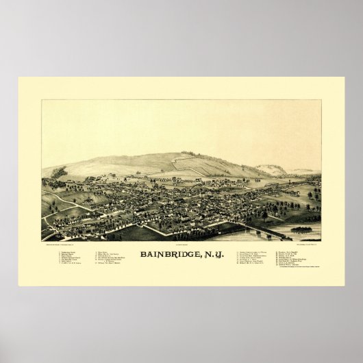 Bainbridge, NY Panoramic Map - 1889 Poster (Voorkant)