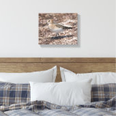 Baird's Sandpiper op het strand Canvas Afdruk (Insitu (Slaapkamer))