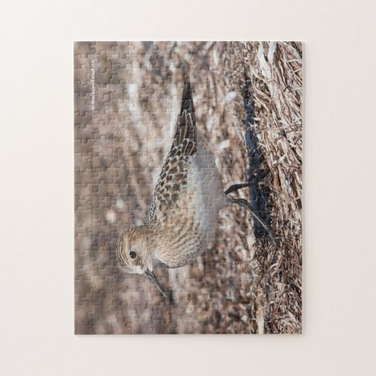 Baird's Sandpiper op het strand Legpuzzel (Verticaal)