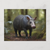 Baird's tapir in het bos briefkaart (Voorkant)