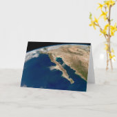 Baja California en de Pacifische kust van Mexico. Kaart (Gele Bloem)