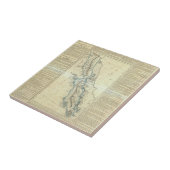 Baja California, Mexico Tegeltje (Zijkant)