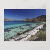 Baja Conception Bay Briefkaart (Voorkant)