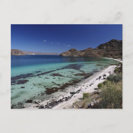 Baja Conception Bay Briefkaart (Voorkant)