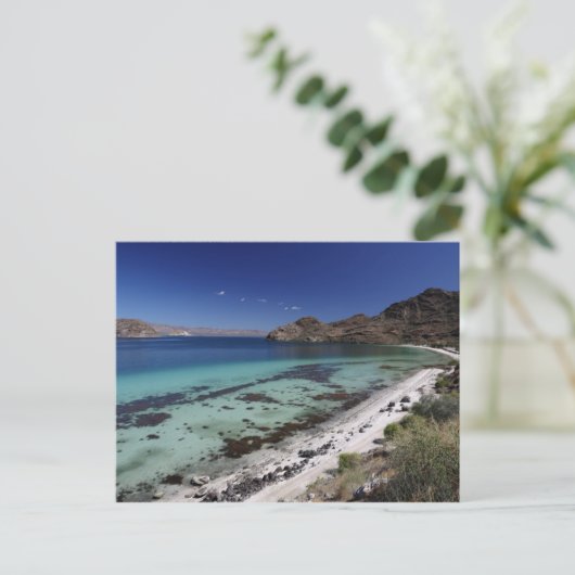 Baja Conception Bay Briefkaart (Staand voorkant)