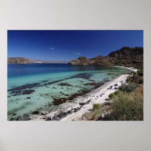 Baja Conception Bay Poster