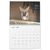 Baja/Hercules Kalender (Mar 2027)