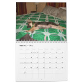 Baja/Hercules Kalender (Feb 2027)