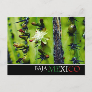 Baja Mexico Briefkaart