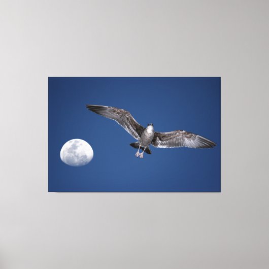 BAJA MOON VLUCHT 40x60 Canvas Afdruk (Voorkant)