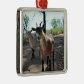 Baka en LuLit, Ornament van Happy Goats (Rechts)