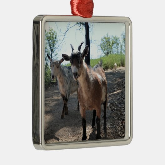 Baka en LuLit, Ornament van Happy Goats (Rechts)