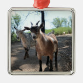 Baka en LuLit, Ornament van Happy Goats (Voorkant)