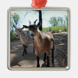 Baka en LuLit, Ornament van Happy Goats