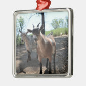 Baka en LuLit, Ornament van Happy Goats (Links)