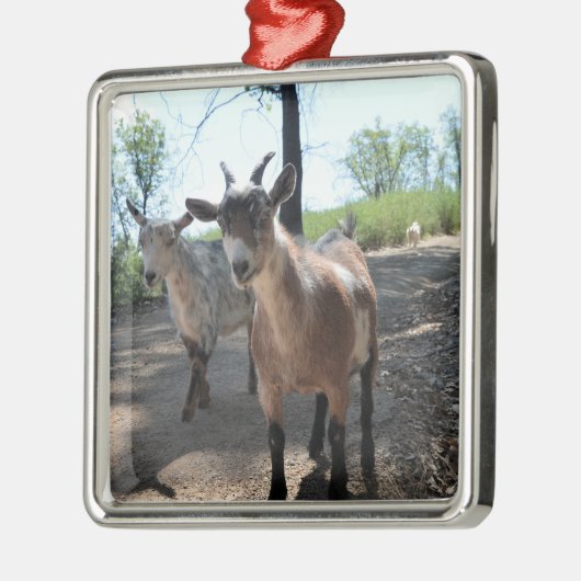 Baka en LuLit, Ornament van Happy Goats (Links)
